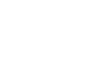 Proyecto 31 Studio & Co.